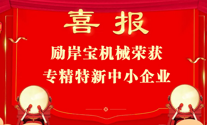 喜訊｜勵岸寶榮獲2024年度入選專精特新中小企業